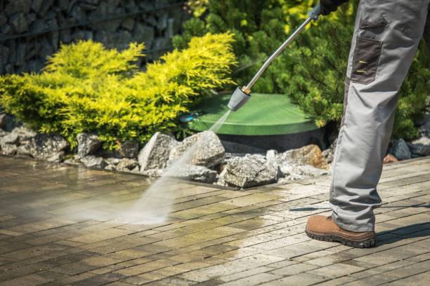 Spring Cleaning in Cortez, FL